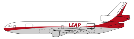 McDonnell Douglas MD-11 MD-11F in Leap Dynamics livery